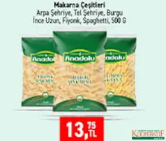 TARIM KREDİ MAKARNA ÇEŞİTLERİ 500 G fiyat ve kampanya bilgisi